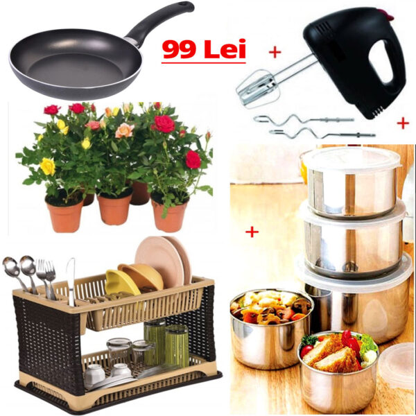 Cyclamen set 4 ghivece cu flori, diferite culori + 6 lampi cu incarcare solara, stick + Cadou 1 sac pamant universal pentru flori