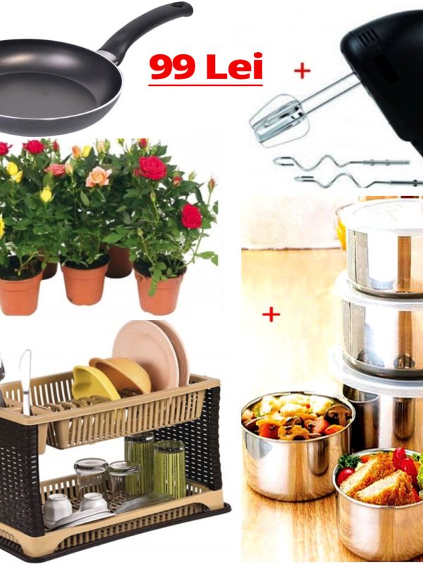 Cyclamen set 4 ghivece cu flori, diferite culori + 6 lampi cu incarcare solara, stick + Cadou 1 sac pamant universal pentru flori