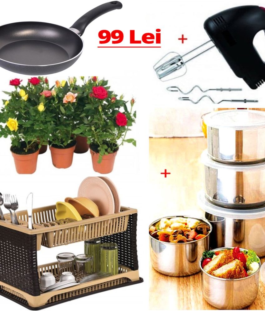 Cyclamen set 4 ghivece cu flori, diferite culori + 6 lampi cu incarcare solara, stick + Cadou 1 sac pamant universal pentru flori