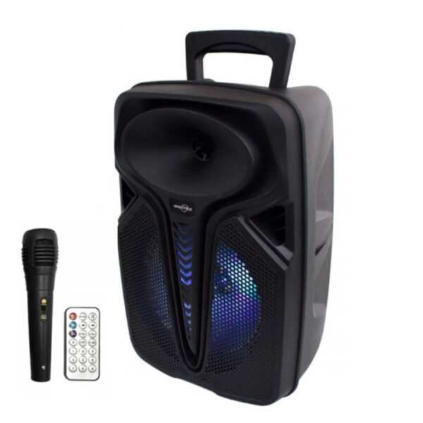 Boxa portabila GTS 1698, bluetooth, 1000W PMPO, super woofer, Led Display, Lumini Disco, USB/ TF/ FM Radio/ BT+ Microfon Karaoke + Telecomanda!