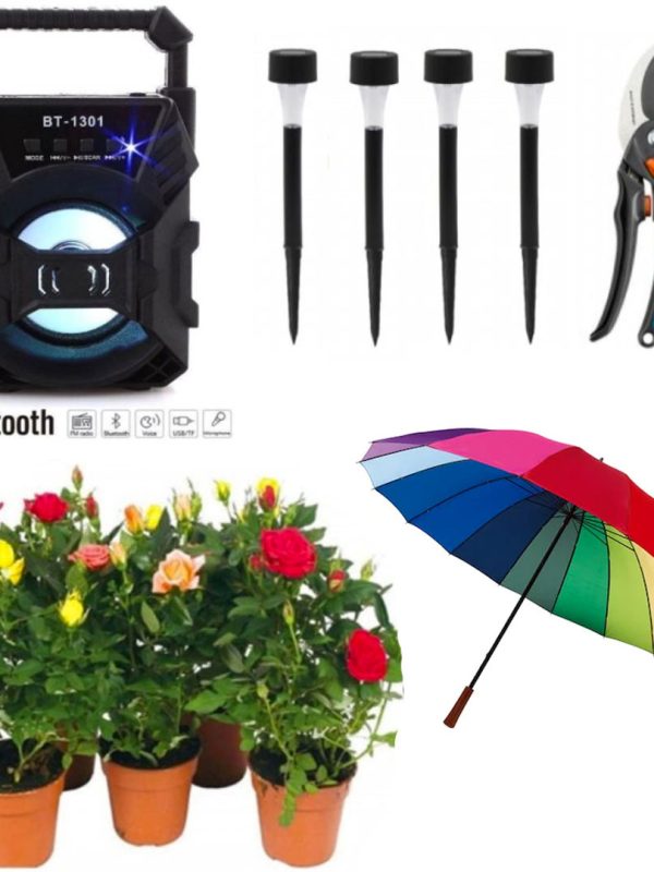 Trandafiri infloriti in ghivece, 5 fire + Foarfeca Gradina Otel Carbon + 4 Lampi led cu incarcare solara + Cadou Boxa bluetooth + Umbrela de ploaie