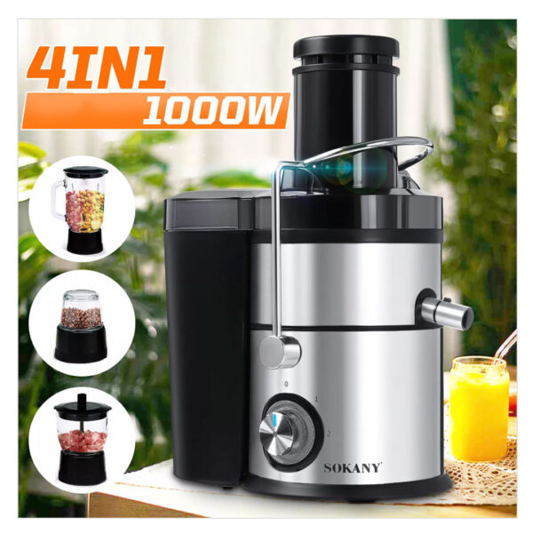 Robot de Bucatarie 4 in 1 Royalty Line,  1000 W, Storcator de fructe si legume, Rasnita, Blender si Tocator, Filtru Inox