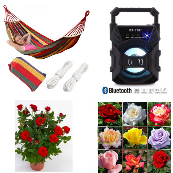 Trandafiri Rosa diverse culori, 4 buc + Hamac poliester/bumbac, multicolor, 80/200 cm + Boxa bluetooth Cadou!