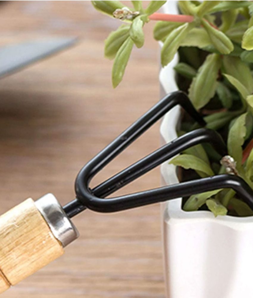 Set 3 ustensile pentru gradinarit, cu maner din lemn lacuit