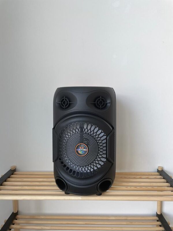 Boxa Portabila CH-856, Difuzor 8",Wireless cu Bluetooth si Lumini ,30W cu microfon si telecomanda