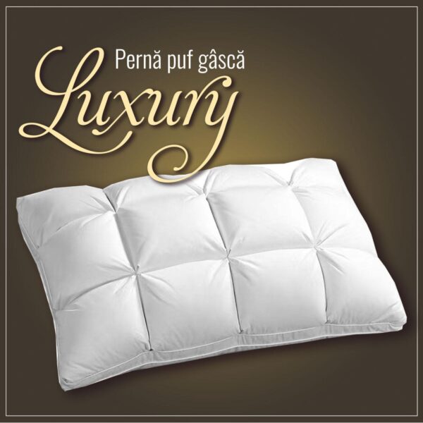Set 2 perne cu umputura  100% puf gâscă calitatea I,  LUXURY, 50X70 cm