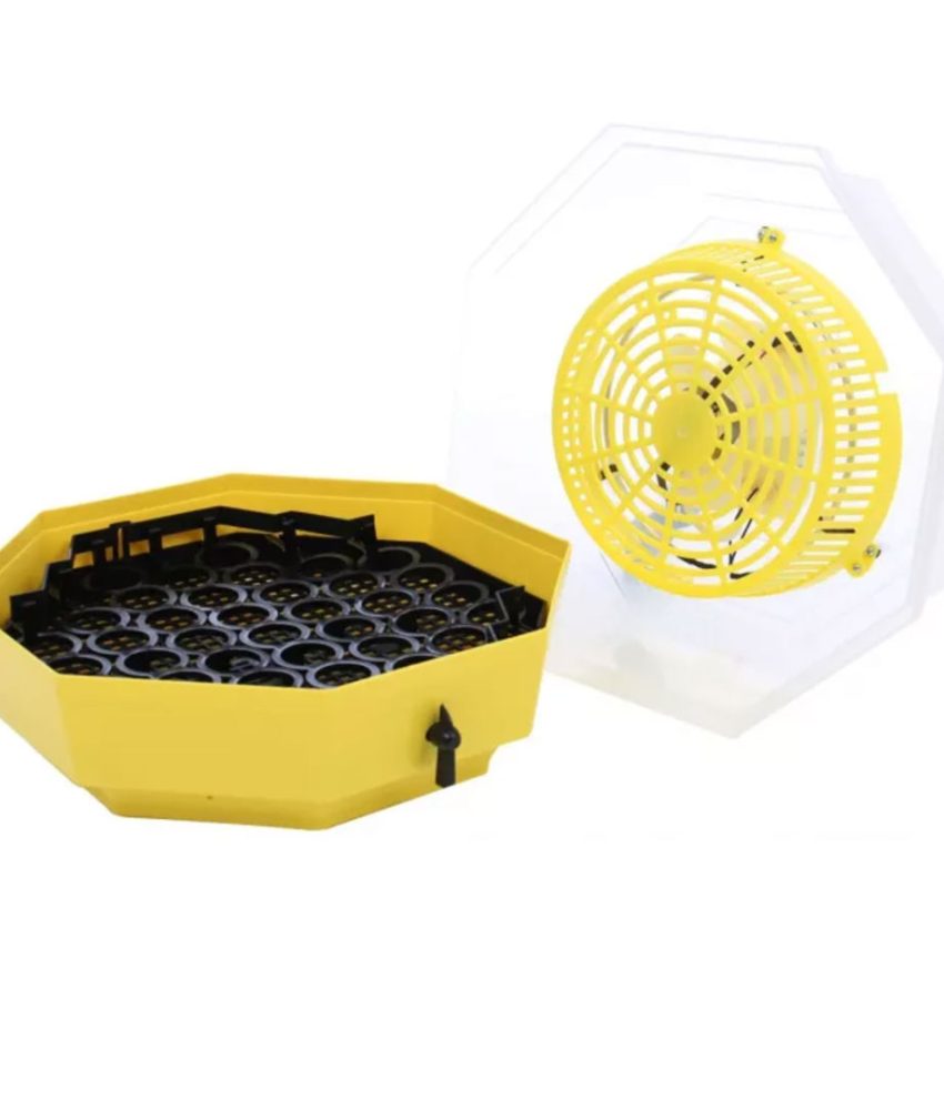 Incubator electric pentru oua cu dispozitiv automat de intoarcere Cleo model 5D