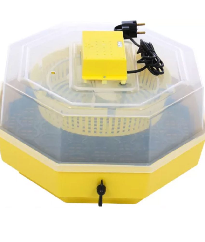 Incubator electric pentru oua cu dispozitiv automat de intoarcere Cleo model 5D