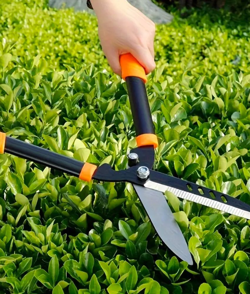 Set Foarfeca gradina pentru crengi, gard viu, 58 cm, carbon + Foarfeca gradina 20,5cm